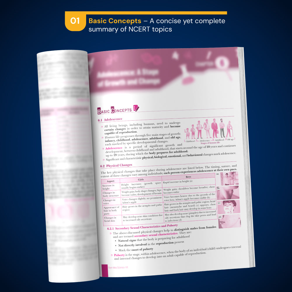 Xam idea Science Class 7 – (CBSE 2026-27) | Based on latest NCERT ‘Curiosity’ | Mind Maps | Solved NCERT | Competency-Based MCQs, Assertion-Reason, Case/Picture/Activity Questions | VSA, SA, LA | Self-Assessment | Practice Paper 