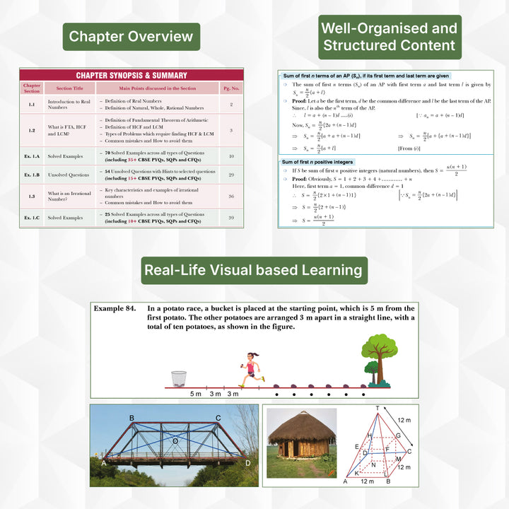 S.M.A.R.T. Minds Mathematics