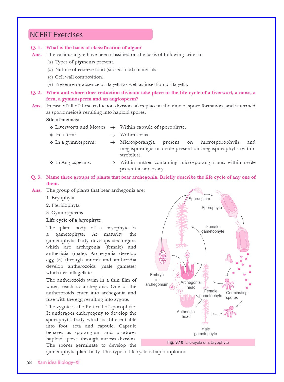 Xam idea Biology Class 11 Book | CBSE Board | Chapterwise Question Bank | Based on Revised CBSE Syllabus | NCERT Questions Included | 2024-25 Exam